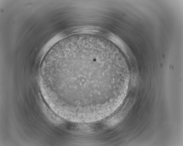 X0000082741338200702240003