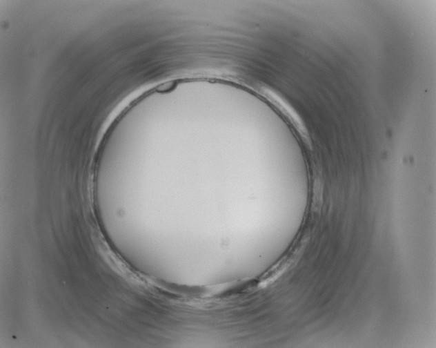 X0000082741340200702240003