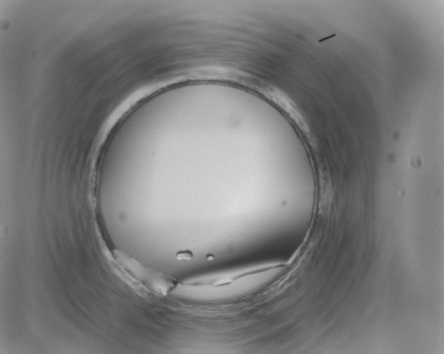 X0000082741342200702240003