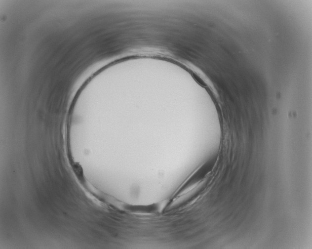 X0000082741343200702240003