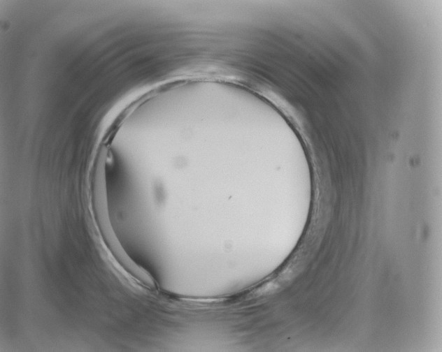 X0000082741344200702240003