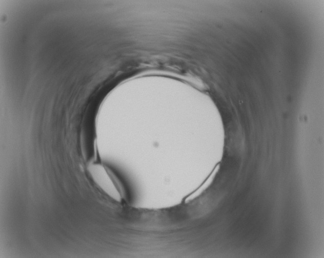 X0000082741345200702240002