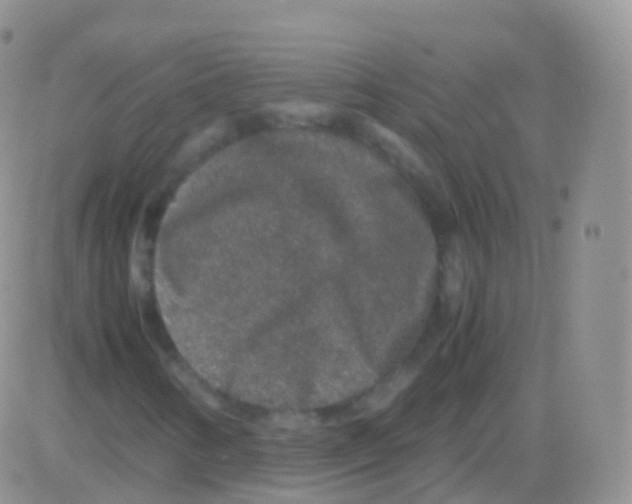 X0000082741346200702240002