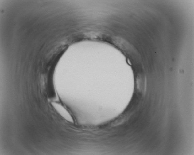 X0000082741347200702240002