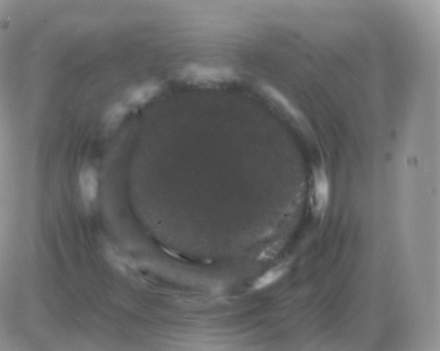 X0000082741348200702240002