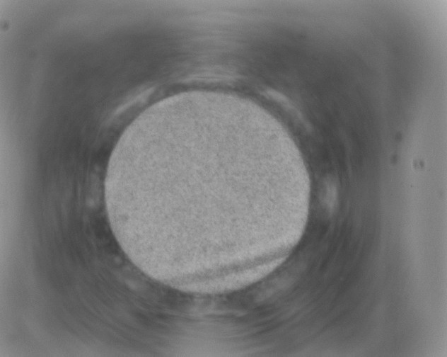 X0000082741350200702240002