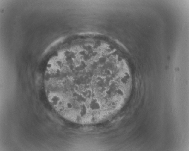 X0000082741351200702240002