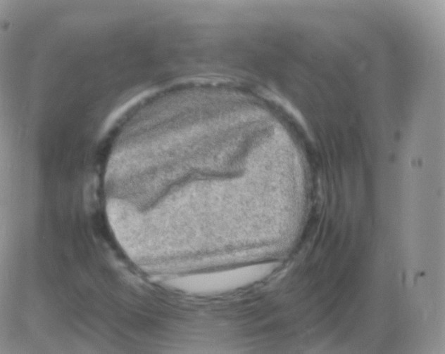 X0000082741352200702240002