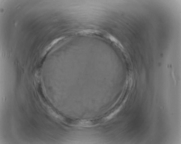 X0000082741353200702240002