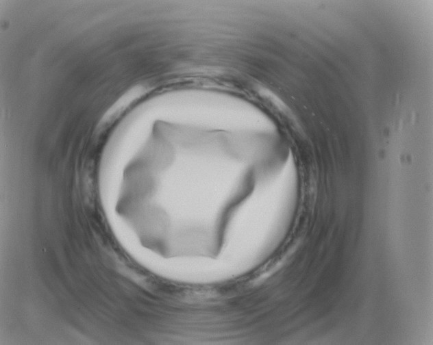 X0000082741354200702240002