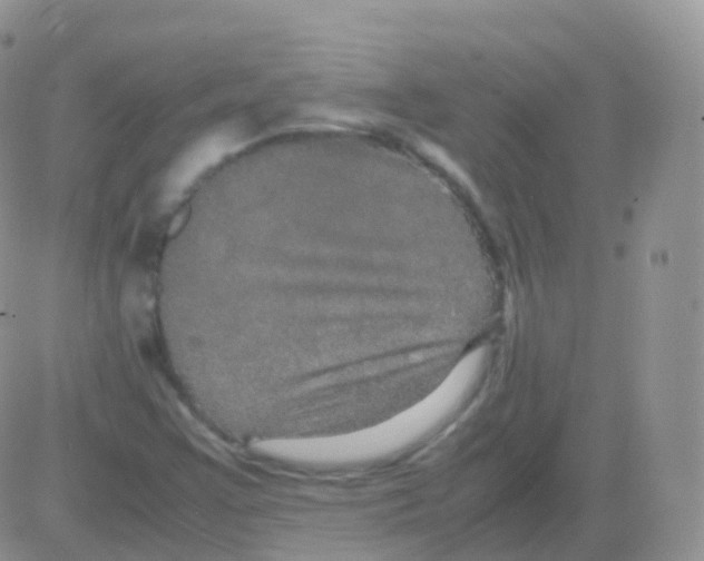 X0000082741355200702240002