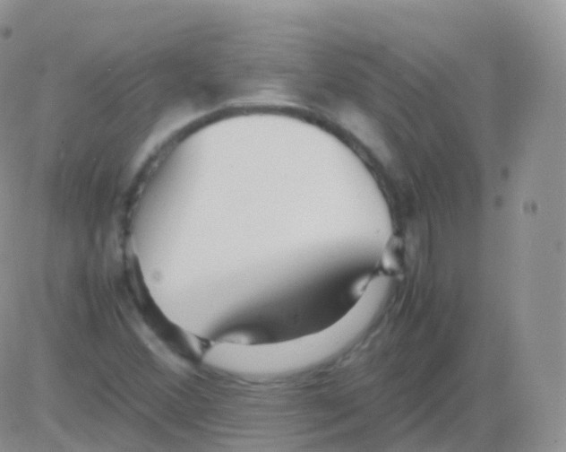 X0000082741356200702240002