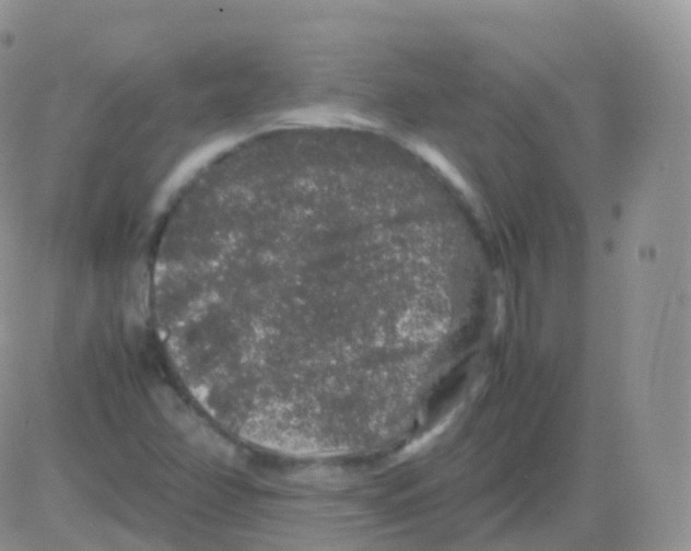 X0000082741358200702240002