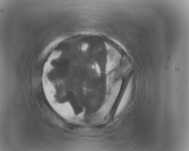 X0000082741359200702240002