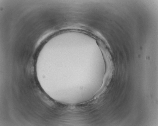 X0000082741360200702240002