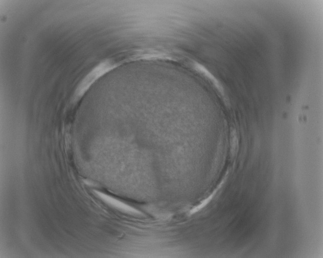 X0000082741361200702240002