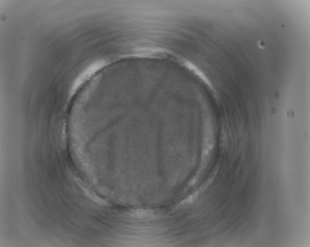 X0000082741362200702240002