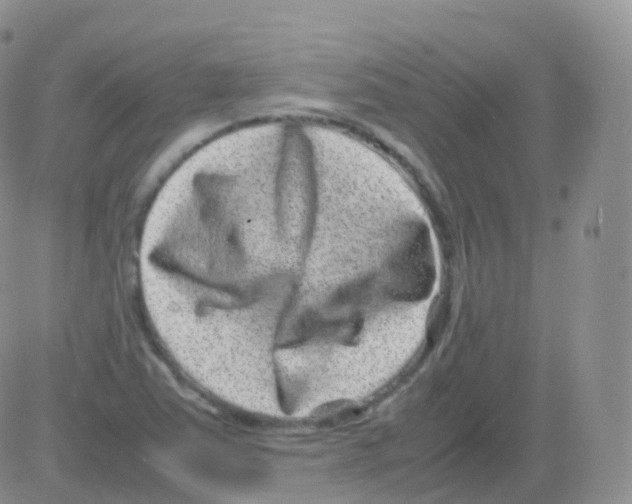 X0000082741363200702240002