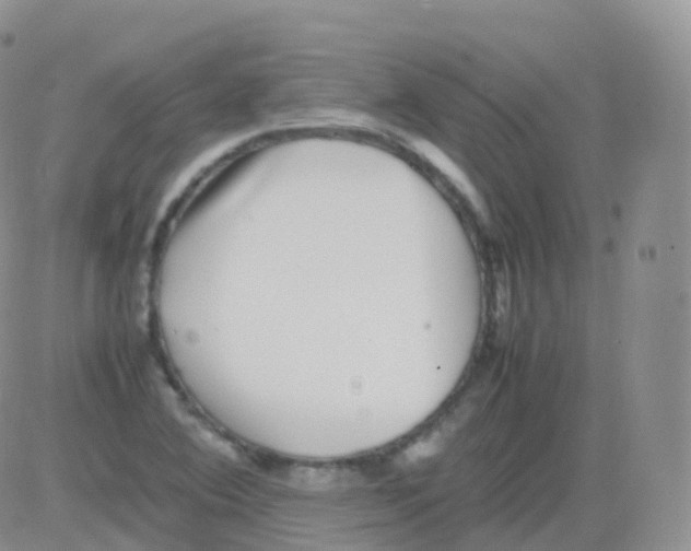 X0000082741364200702240002