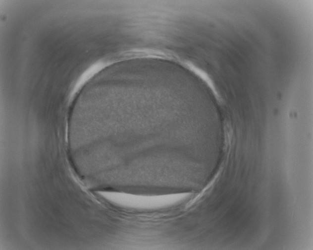 X0000082741365200702240002