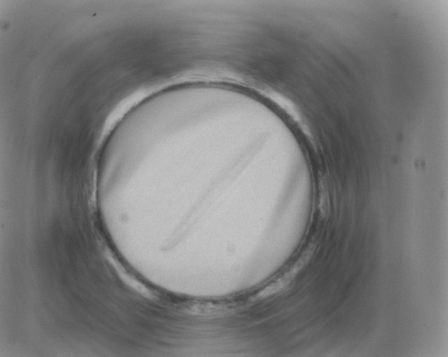 X0000082741366200702240002