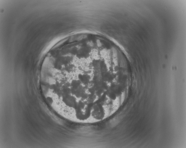 X0000082741367200702240002