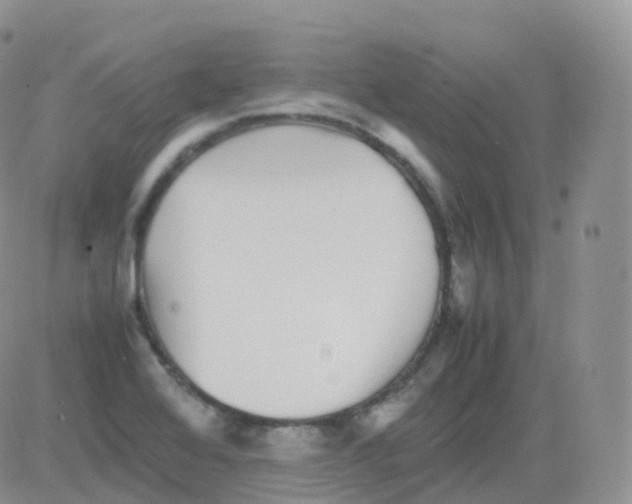 X0000082741368200702240002