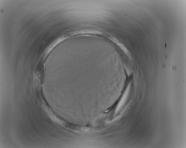 X0000082741369200702240002