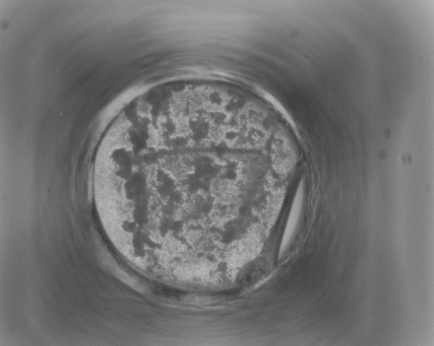 X0000082741371200702240002