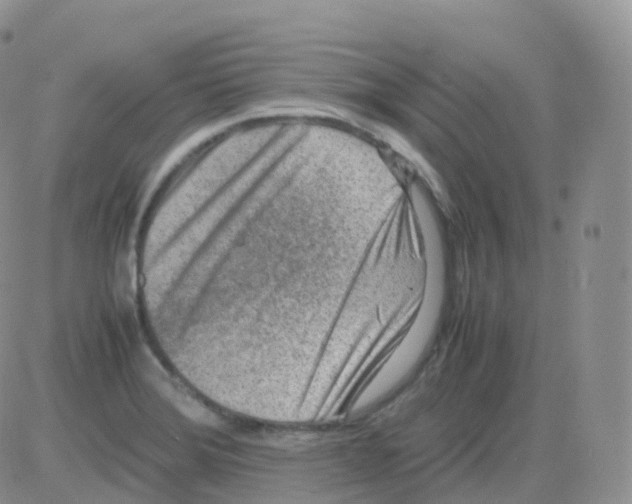 X0000082741372200702240002