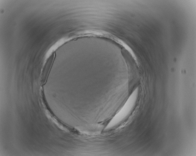 X0000082741373200702240002