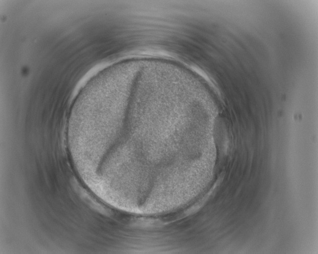 X0000082741374200702240002