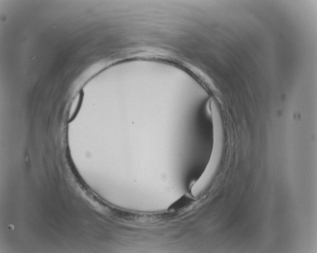 X0000082741375200702240002