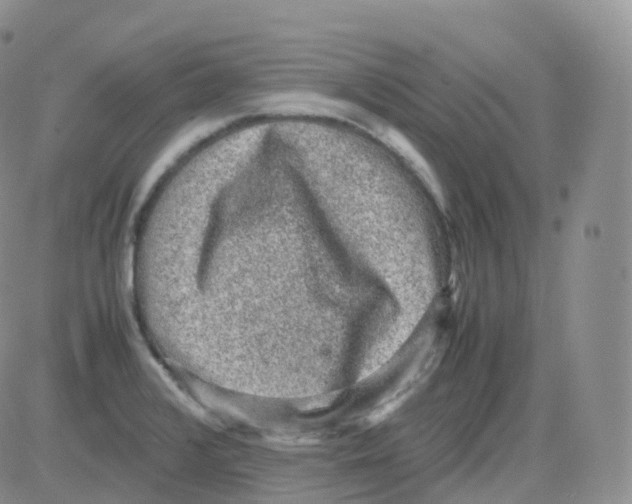 X0000082741376200702240002