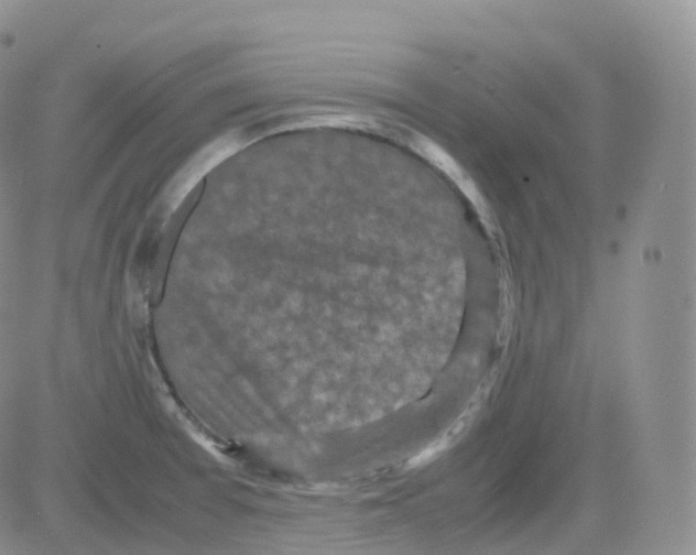 X0000082741377200702240002