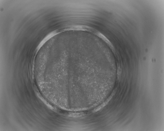 X0000082741378200702240002