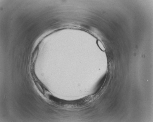 X0000082741379200702240002