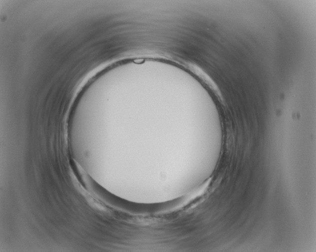 X0000082741380200702240002