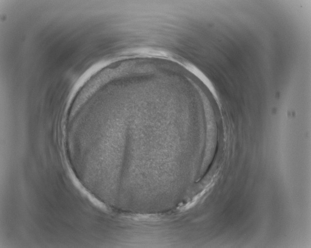 X0000082741381200702240002