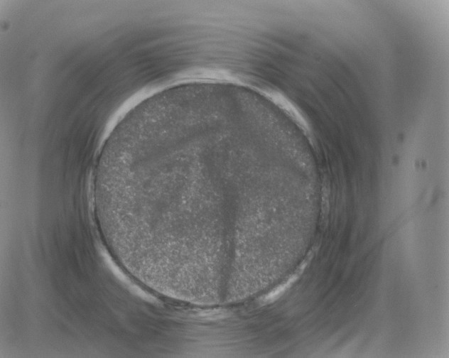 X0000082741382200702240002