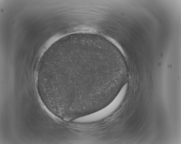 X0000082741383200702240002