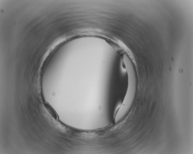 X0000082741384200702240002