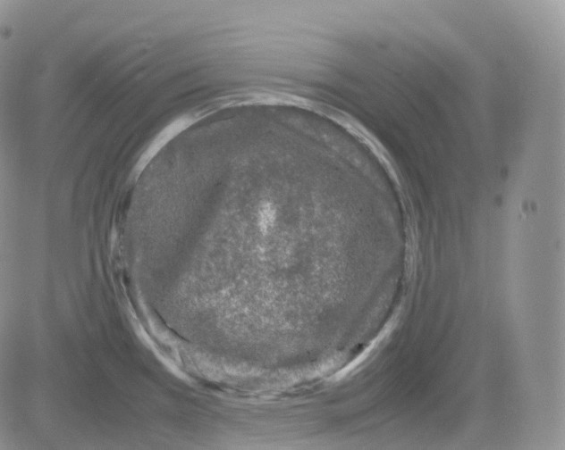 X0000082741385200702240002