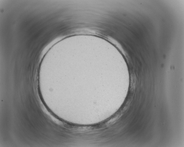 X0000082741387200702240002