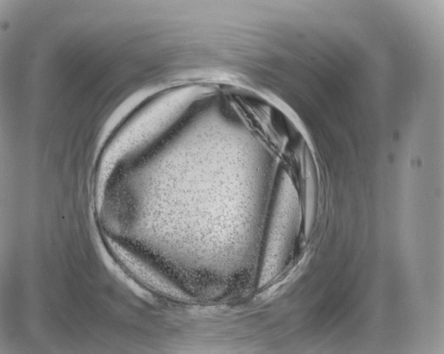 X0000082741389200702240001