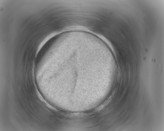 X0000082741390200702240001