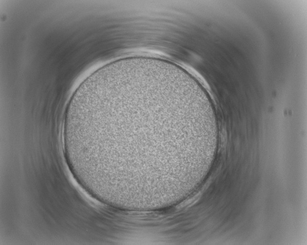 X0000082741391200702240001