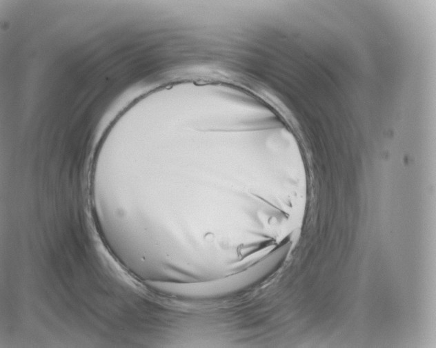 X0000082741392200702240001