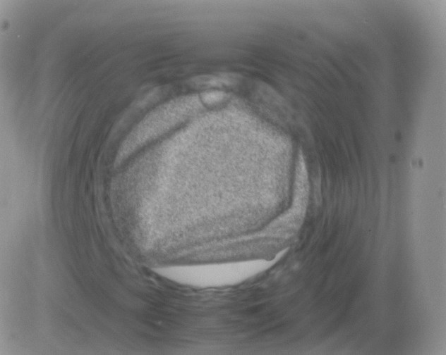 X0000082741393200702240001