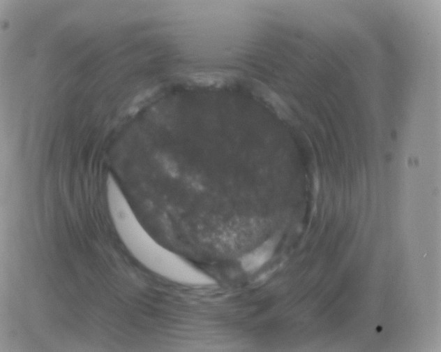 X0000082741394200702240001